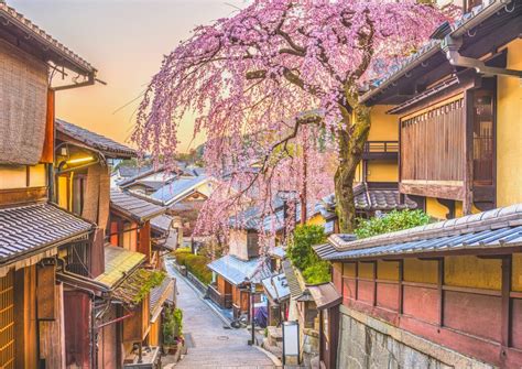 A Food Lover's Guide to the Magical Culinary Scene in Kyoto